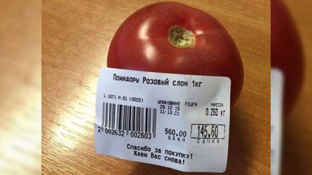 Ruslar pomidorun bir dənəsini 6 türk lirəsinə yeyirlər