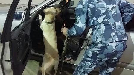 Gömrükdə 9206 hüquqpozma faktı aşkarlanıb - FOTO