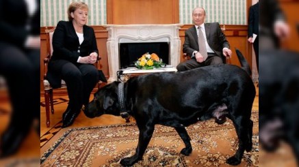 Putin Rusiyanın 25 ildəki ən böyük səhvindən, Merkeldən üzr istəməsindən DANIŞDI 