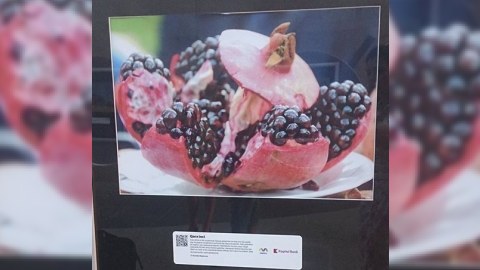 “Metro Gallery” ilin layihəsi oldu - FOTO