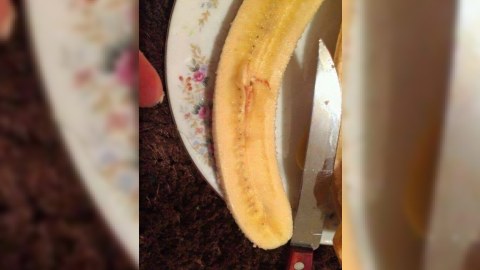 Qırmızı ləkəli banan xəstəlik mənbəyidir? - RƏSMİ  cavab 