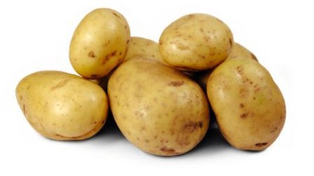  GMO bitki toxumlarından istifadə vəziyyəti araşdırılacaq
