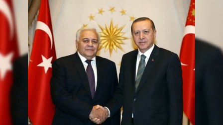  Milli Məclisin nümayəndə heyəti Türkiyə prezidenti ilə görüşüb