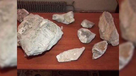  Mingəçevirdə 4 milyon il yaşı olan fil sümükləri tapılıb  - Video 
