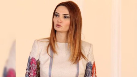 Qənirə Paşayeva qanundakı boşluqlara diqqət çəkdi