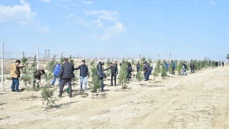  “Azərsu”dan vacib aksiya