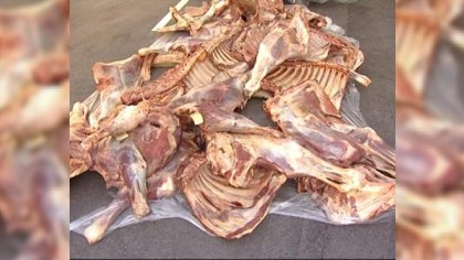 1 ton yararsız ət satan YAXALANDI