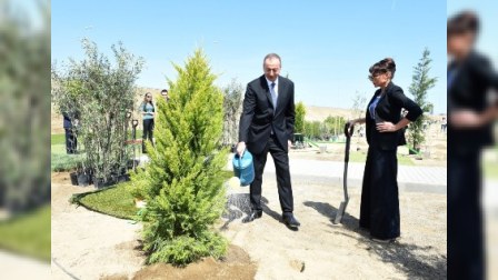 Prezident və xanımı ağacəkmə kampaniyasında - FOTOLAR