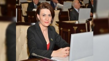 Yeni deputat Ailə, qadın və uşaq komitəsindən çıxmaq istəyir