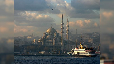 D&uuml;nya gəncləri FET&Ouml;-ya qarşı T&uuml;rkiyəyə toplaşır