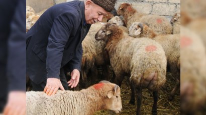 Baytarlıq Xidməti gücləndirilmiş iş rejimnə keçir  