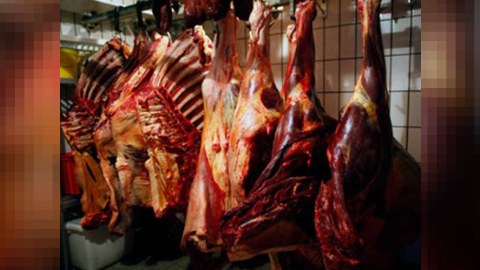 İsmayıllıda 300 kiloqram at ətinin satışının qarşısı alınıb