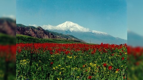 &Ccedil;ili mətbuatında Qarabağ