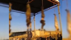 İŞİD 19 suriyalını qurbanlıq heyvan şəklində qətlə yetirib