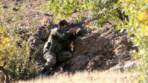 Türkiyə ordusu 537  PKK yaraqlısını məhv edib