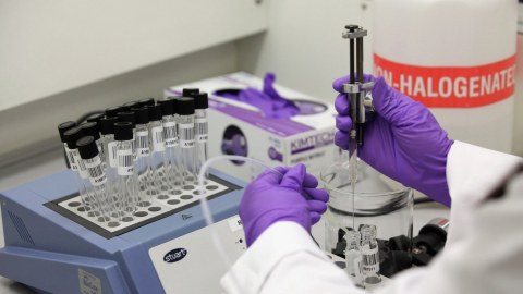 Azərbaycanda Milli Antidopinq Agentliyi yaradılacaq