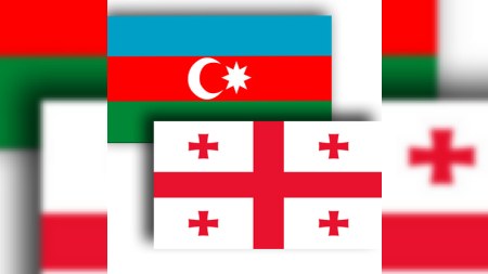  Azərbaycan Gürcüstana ixracı AZALTDI 