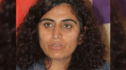 Demokratik B&ouml;lgələr Partiyasının həmsədri saxlanılıb