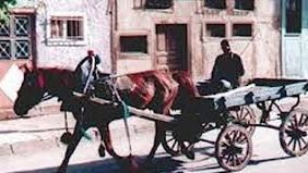 Qubada gənc oğlan at arabasının altında qalıb