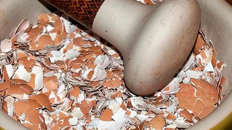 Kim ki yüz il yaşamırsa... - Faydasını bilsəniz, qabıqları atmayacaqsınız