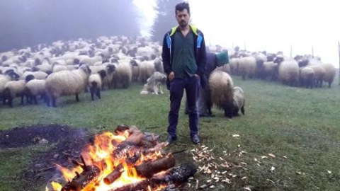 Yayda yaylağa, qışda qışlağa k&ouml;&ccedil;ənlər - məktəbə həsrət məktəblilər...