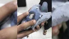 Narkotik daşıyan g&ouml;yər&ccedil;in ələ ke&ccedil;ib