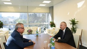 İlham Əliyev &ldquo;VTB Bank&rdquo;ın prezidentini&nbsp;qəbul edib