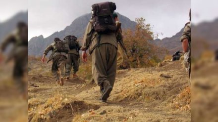 Başına 1 milyon mükafat qoyulan terrorçu məhv edilib 