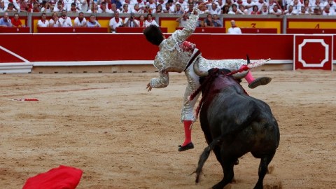 İspaniyada 800 illik qanlı ənənə -Korrida yarışlarından FOTOLAR