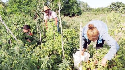 Bakıdan kəndlərə qayıdış başladı 