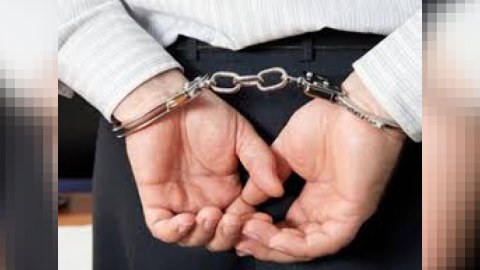 Bakıda ağac kəsən şirkət direktorunu HƏBS ETDİLƏR   