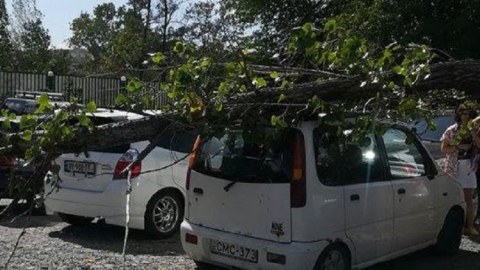 Güclü külək Gürcüstana ciddi zərər vurdu