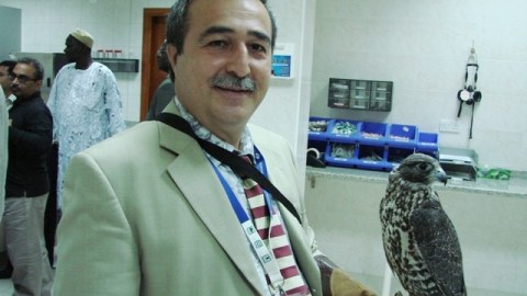 “Ancaq kəmsavad adamlar təkamülü inkar edə bilər” - MÜSAHİBƏ 