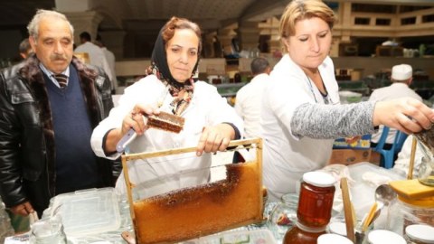 Bal yarmarkasında qiymətlər necə olacaq? &nbsp;