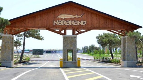 Bakıda ilk Balıq bazarı açılır - Qiymətlər necə olacaq?   