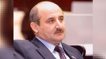 &ldquo;Polis m&uuml;stəntiqlərinin sayı artırılmalıdır&rdquo;