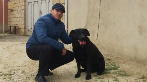 “İt demə, o da dəxi bizim birimiz” - Məşhur it təlimçisi maraqlı faktlar açıqladı: “Yanıma vəzifəli şəxslər də gəlir” - REPORTAJ + VİDEO