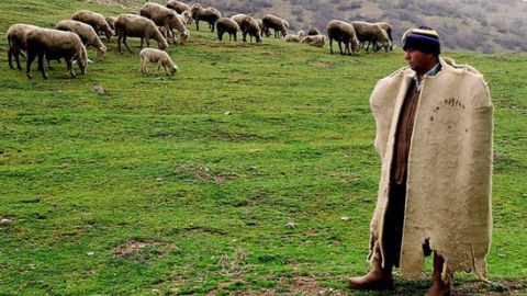 Örüş sahələri xüsusi mülkiyyətə verilə bilməz - Qanun dəyişdirilir
