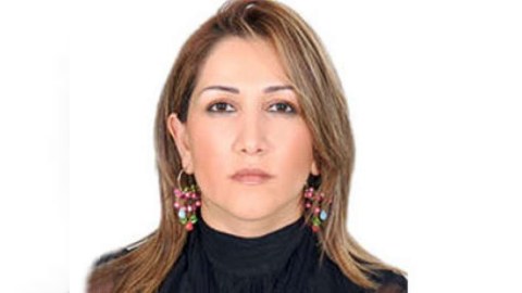 İki dövlət qurumunu üz-üzə gətirmək istəyənlər var -  Ekologiya Nazirliyi