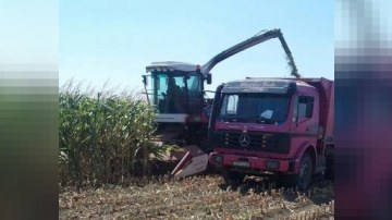 İcra başçısının təriflədiyi fermer Habil İbrahimov kimdir?