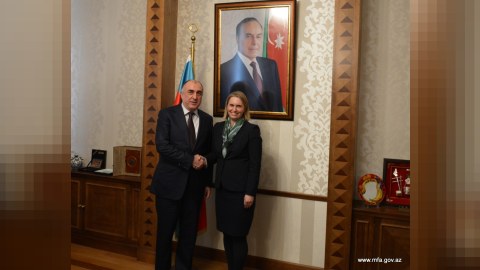 Elmar Məmmədyarov ABŞ D&ouml;vlət katibinin n&uuml;mayəndəsini qəbul etdi