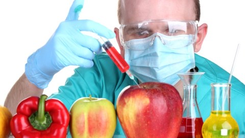 GMO məhsulların Azərbaycana gətirdiyi TƏHLÜKƏ - “Təkcə meyvə-tərəvəzin deyil, ətin də dadı dəyişib”  