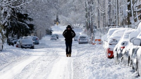 Avropada Sibir şaxtaları həyatı iflic edib