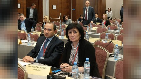 Deputatlarımız NATO PA-nın iclasında Ermənistana etiraz etdilər
