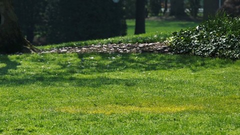 İki prezidentin əziyyəti sirli şəkildə hədər getdi: Ağ Evdə möcüzə   