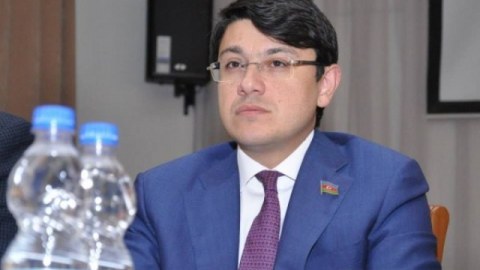 Azərbaycanın diaspor təşkilatlarında canlanma yaranıb