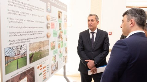 Nazir İnam Kərimovdan daha bir yeni direktor TƏYİNATI