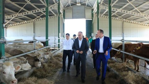 Qida Təhl&uuml;kəsizliyi Agentliyinin sədri ət məhsullarını YOXLADI