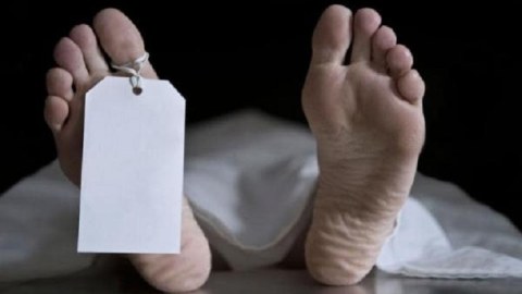 Xaricdən Azərbaycana ölü donor gətirməyə icazə veriləcək  