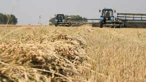 Azərbaycanda aqrar sektor 9% böyüyüb